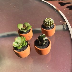 Artificial succulent